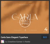 Carla Sans Elegant Typeface.jpg