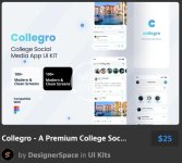 Collegro - A Premium College Social Media App UI Kit.jpg