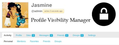 profile-visibilty-manager.jpg