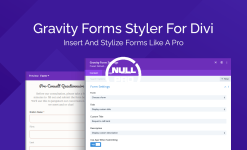 gravity_forms_styler_for_divi_featured_image.png