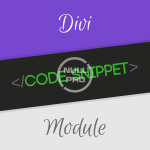 Divi-Code-Snippet-Module-1.png